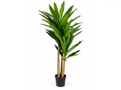 2x 190cm Real touch dracaena tree in plastic pot – kavel bij XL Auctions