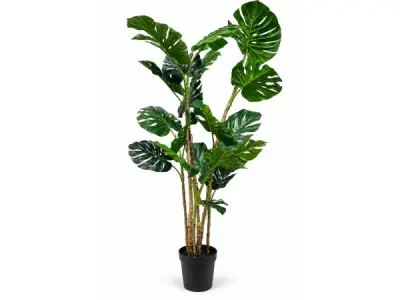 2x 190cm Real touch monster in plastic pot – kavel bij XL Auctions
