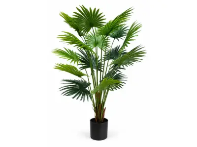 2x 180cm Real touch fan palm in plastic pot – kavel bij XL Auctions
