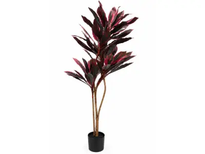2x 185cm Real touch red dracaena in plastic pot – kavel bij XL Auctions