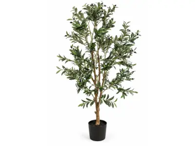 2x 180cm Olive tree in plastic pot – kavel bij XL Auctions