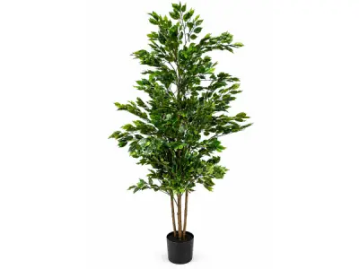 2x 210cm Real touch ficus in plastic pot – kavel bij XL Auctions