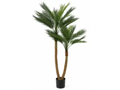 2x 210cm Palm tree in plastic pot – kavel bij XL Auctions