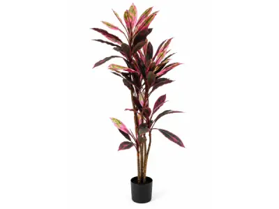 2x 200cm Real touch gree red racaena in plastic pot – kavel bij XL Auctions