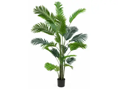 2x 180cm Real touch Butterfly Palm tree x 204 lvs, in pot – kavel bij XL Auctions