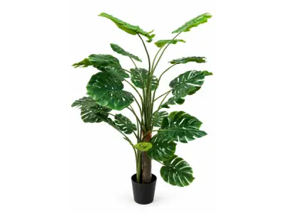 2x 210cm Real touch philodendron tree x 25 lvs, 9.5in pot – kavel bij XL Auctions