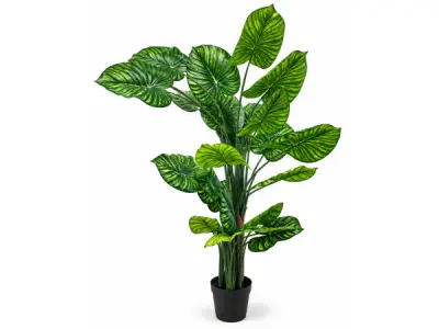 2x 210cm white-green philodendron tree x 25 lvs, 9.5in pot – kavel bij XL Auctions