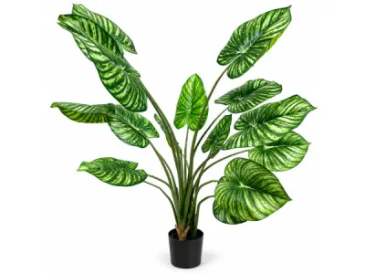 2x 165cm white-green philodendron tree x 15 lvs, 8in pot – kavel bij XL Auctions