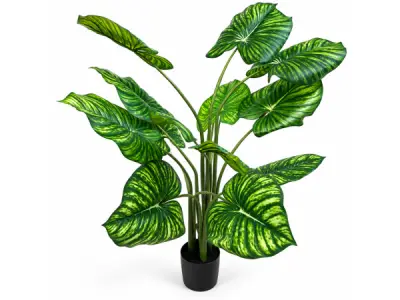 2x 135cm white-green philodendron tree x 12 lvs, 7in pot – kavel bij XL Auctions