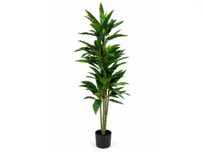2x 145cm Real touch green rohdea x 134 lvs in plastic pot – kavel bij XL Auctions