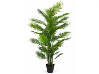 2x 210cm Palm tree x 47 lvs in plastic pot – kavel bij XL Auctions