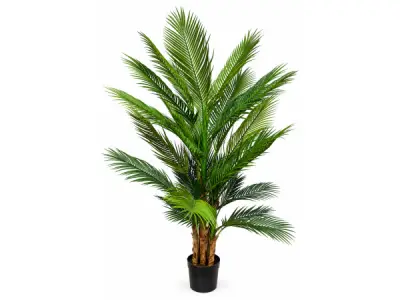 2x 165cm Palm tree x 38 lvs in plastic pot – kavel bij XL Auctions