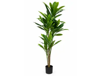 200cm Real touch green dracaena in plastic pot – kavel bij XL Auctions