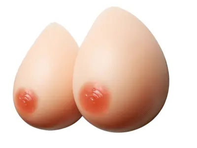 Borstprothese - 2-delige set - Cup A – kavel bij GSD Auctions, Zoeterwoude