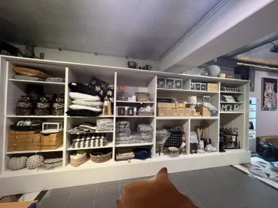 Stopzetting decoratiewinkel – veiling bij Openbare Verkopen, Blankenberge