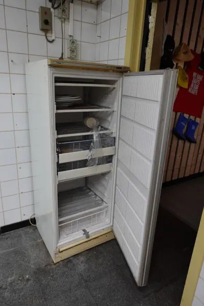Dieprvriezer Frigor – kavel bij Openbare Verkopen, Lochristi