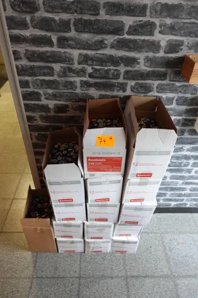 Grote partij kroonkurkjes – kavel bij Openbare Verkopen, Lochristi