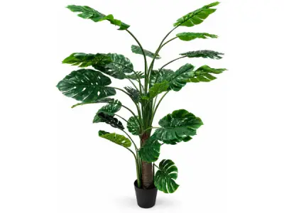 135cm Real touch philodendron tree x 12 lvs, 7in pot – kavel bij XL Auctions