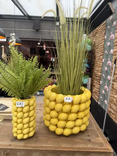Set van 2 decoratieve bloempotten met citroendesign ( aankoopwaarde winkel +500€) – kavel bij Openbare Verkopen, Blankenberge
