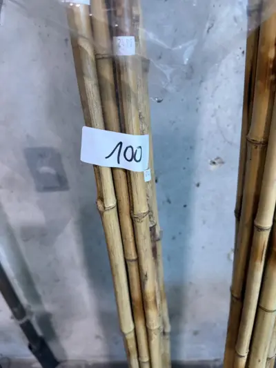 bamboo met zwarte veren 20 stuks – kavel bij Openbare Verkopen, Blankenberge