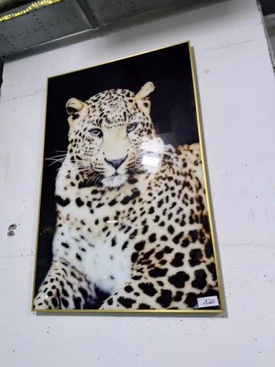 Panter fotokader groot – kavel bij Openbare Verkopen, Blankenberge