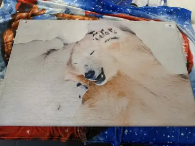 schilderij of portret van ijsberen – kavel bij Openbare Verkopen, Blankenberge