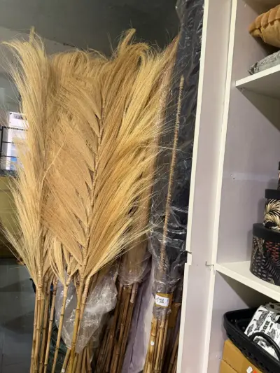 bamboo met pluimen 100 stuks zwart & beige – kavel bij Openbare Verkopen, Blankenberge