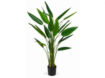 175cm Real touch strelitzia tree x 26 lvs, plastic pot – kavel bij XL Auctions