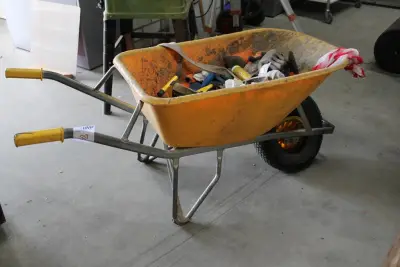 Kruiwagen FORD met kunststoffen bak en lekke band – kavel bij HNVI, Loon op Zand