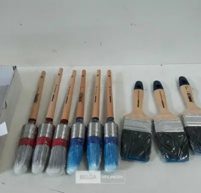 9 x Verfborstel Anza mix – kavel bij Belga Veilingen, Oudsbergen