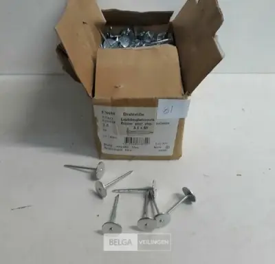 1 x Nagels verzinkt grote ronde kop 2,5 kg 3,1x50 mm – kavel bij Belga Veilingen, Oudsbergen