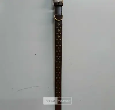 1 x Hondenhalsband leer bruin 75 cm 40 mm – kavel bij Belga Veilingen, Oudsbergen