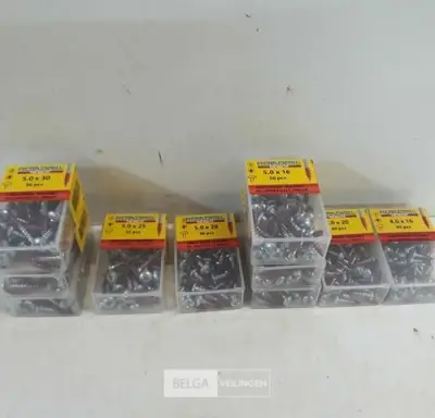 10 x Houtschroeven in blister ronde kop red-tip mix – kavel bij Belga Veilingen, Oudsbergen