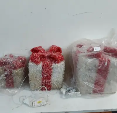 1 x Kerstcadeau met verlichting set 3-delig B-kwaliteit – kavel bij Belga Veilingen, Oudsbergen