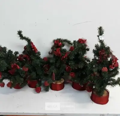 5 x Kerstboom 45 cm met houten voet – kavel bij Belga Veilingen, Oudsbergen