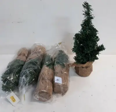 5 x Kerstboom 35 cm met kluit – kavel bij Belga Veilingen, Oudsbergen