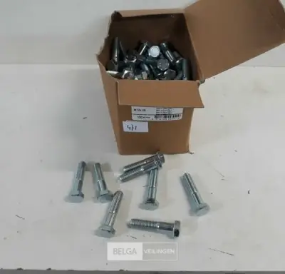 1 x Zeskantbout verzinkt 8,8 M12x65 100 stuks – kavel bij Belga Veilingen, Oudsbergen