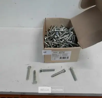 1 x Zeskant tapbout verzinkt 8,8 M8 x 50 170 stuks – kavel bij Belga Veilingen, Oudsbergen