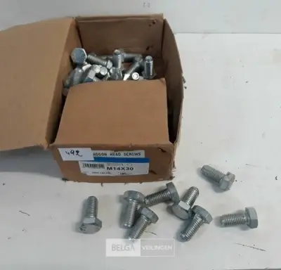 1 x Zeskant tapbout verzinkt 8,8 M14 x 30 60 stuks – kavel bij Belga Veilingen, Oudsbergen