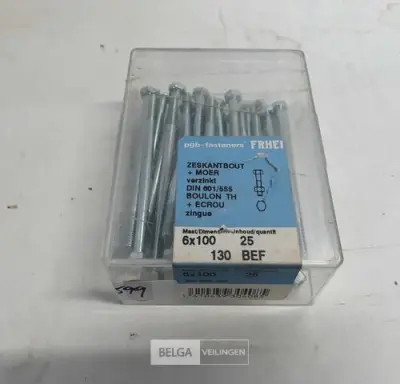 1 x Zeskantbouten met moer M6x100 25 stuks – kavel bij Belga Veilingen, Oudsbergen
