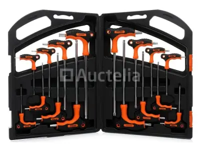 TORX schroevendraaierset (16 elementen) KRAFT&DELE – kavel bij Auctelia, Aye