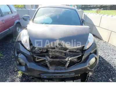Auto (voor onderdelen) Nissan Juke (VIN:SJNFCAF15U6404058) – kavel bij Auctelia, Fauvillers