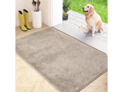 FCSDETAIL Vuilvanger Voetmat - Antislip - 86x150 cm – kavel bij XL Auctions