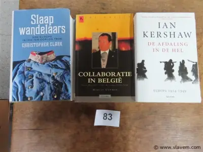 Boeken, 3 stuks – kavel bij Vlavem