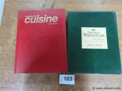 Boeken, 2 stuks – kavel bij Vlavem
