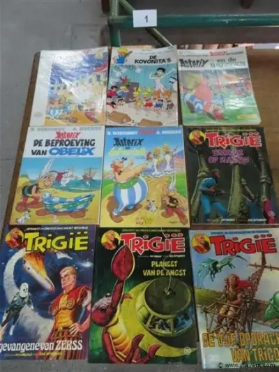 Strips 9 stuks – kavel bij Vlavem