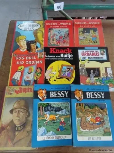Strips 9 stuks – kavel bij Vlavem