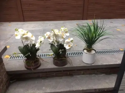 3 stuks kunststof planten – kavel bij Vlavem