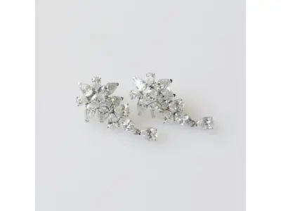 8.41ct Lab Grown Diamond Earrings – kavel bij XL Auctions