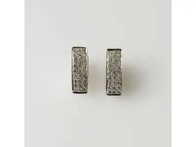 0.65ct Diamond Earrings – kavel bij XL Auctions